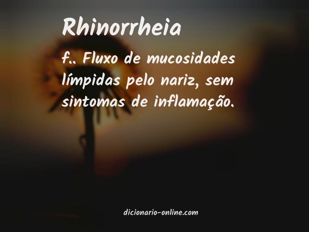 Significado de rhinorrheia