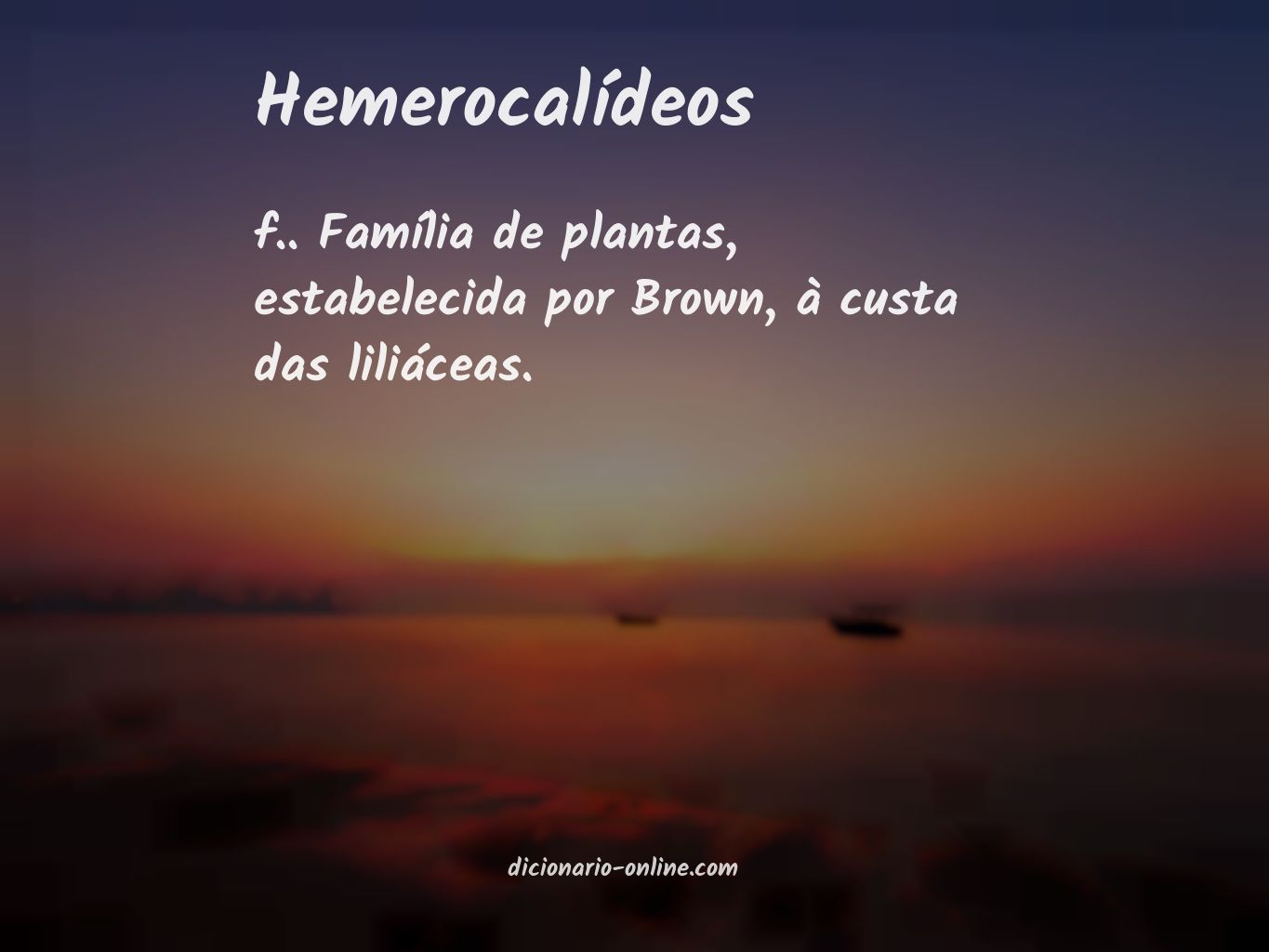 Significado de hemerocalídeos