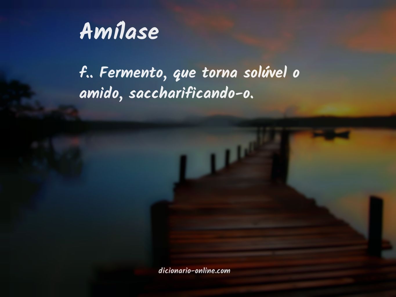 Significado de amílase