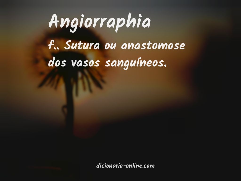 Significado de angiorraphia