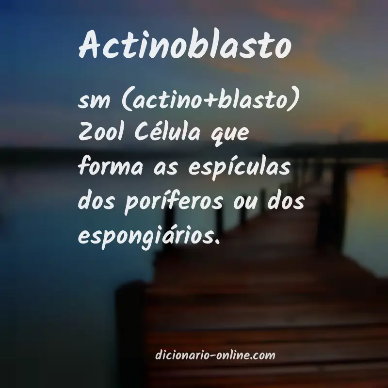 Significado de actinoblasto