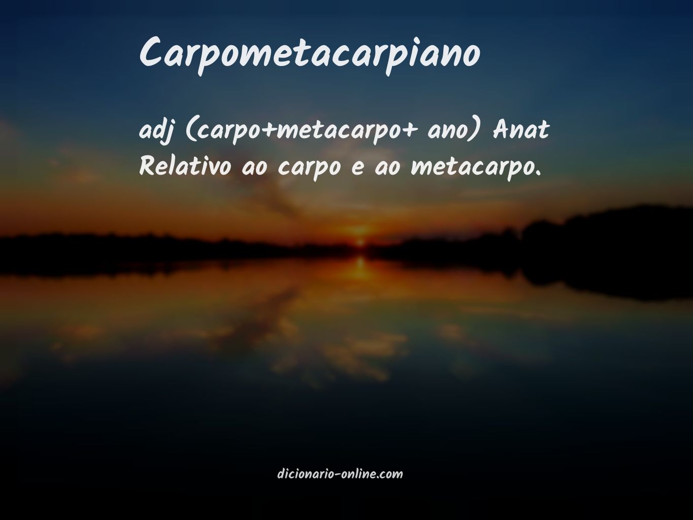 Significado de carpometacarpiano