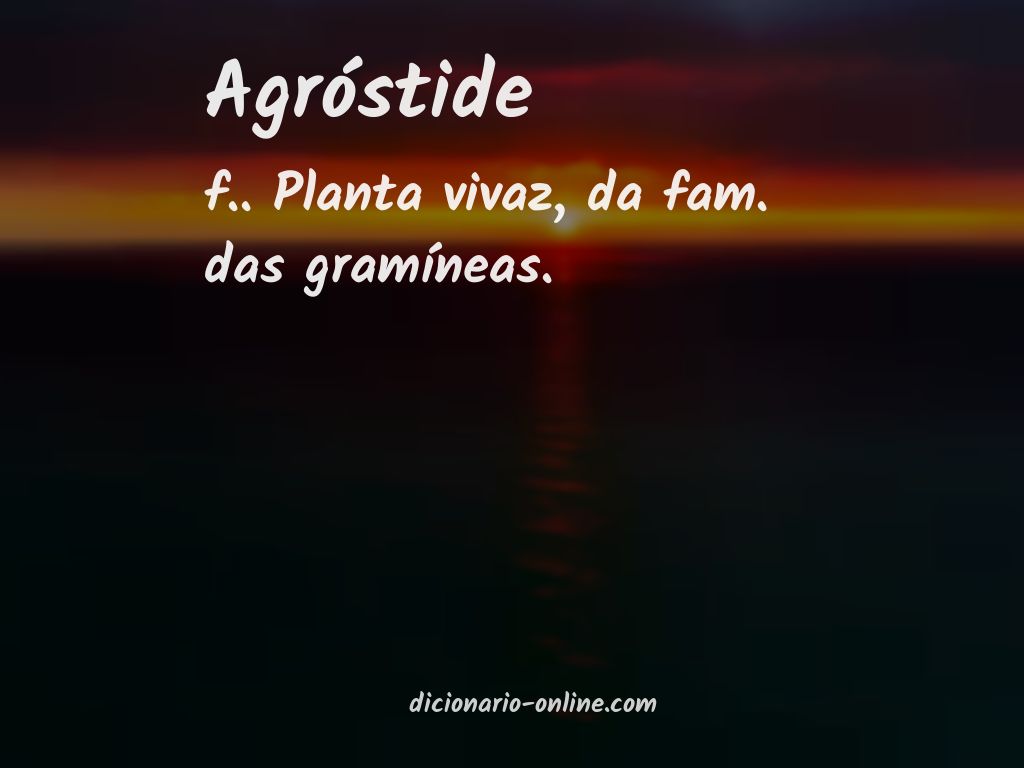 Significado de agróstide