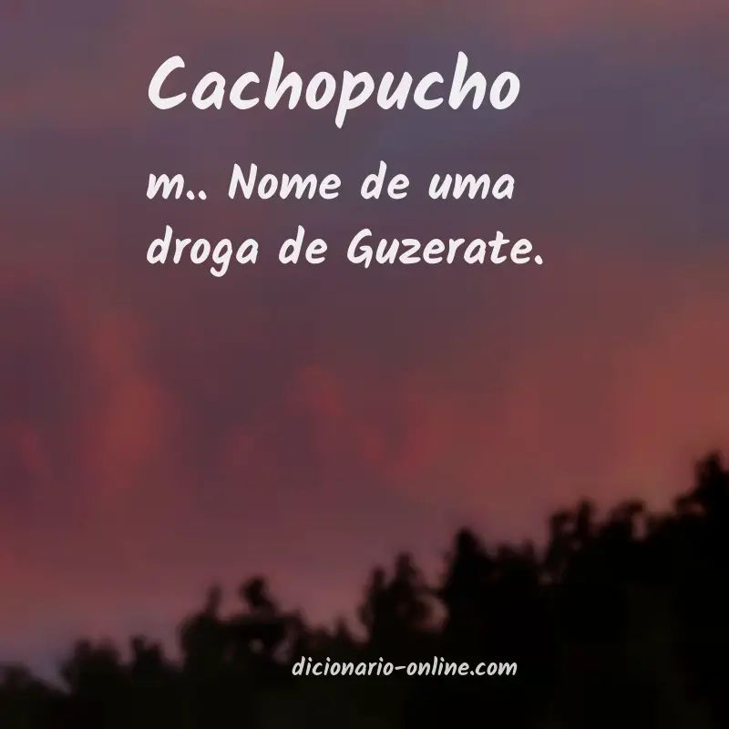 Significado de cachopucho
