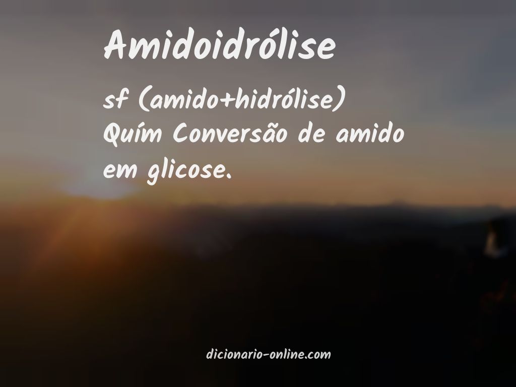 Significado de amidoidrólise