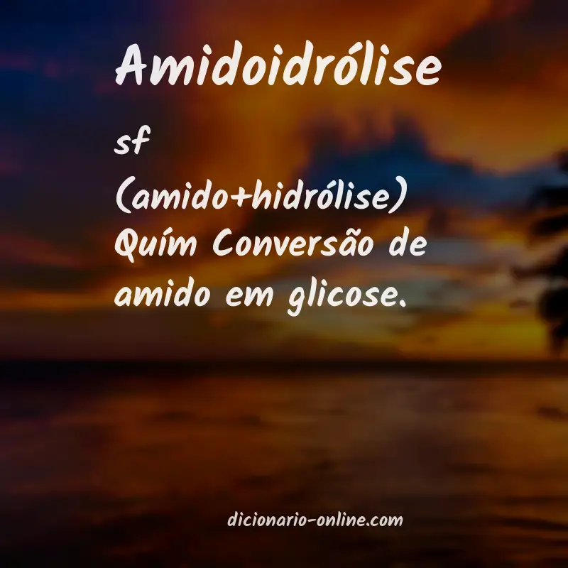 Significado de amidoidrólise