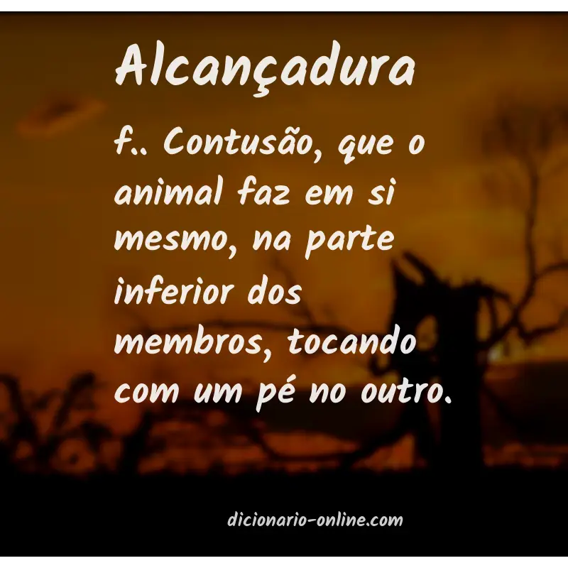Significado de alcançadura