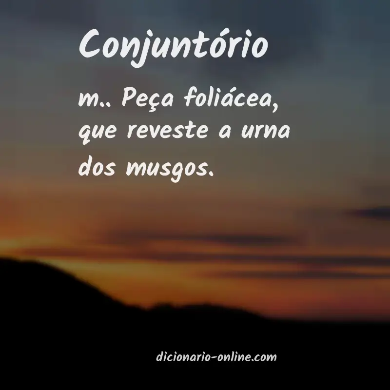 Significado de conjuntório