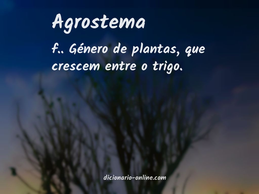 Significado de agrostema