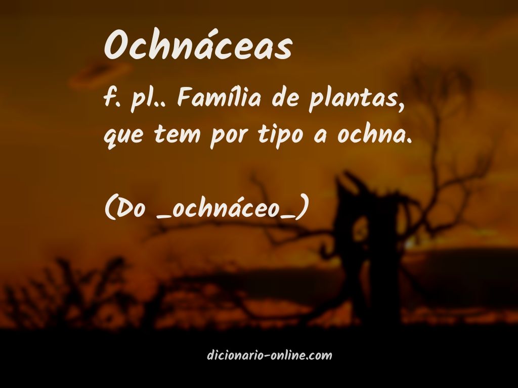 Significado de ochnáceas