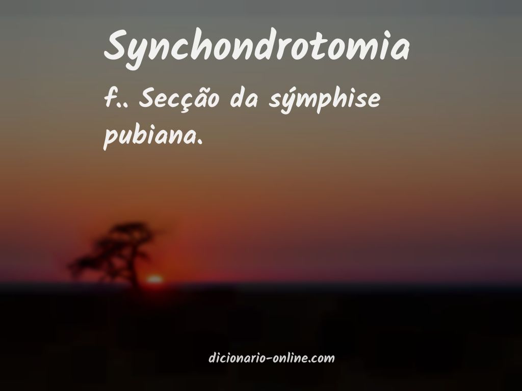 Significado de synchondrotomia