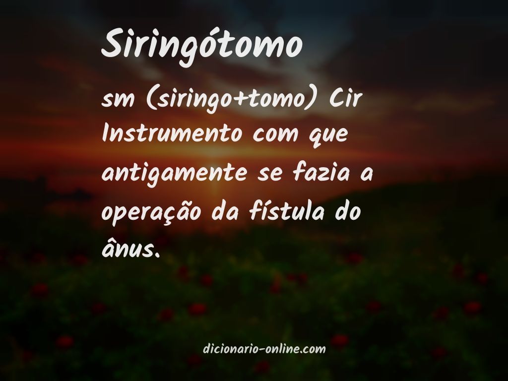 Significado de siringótomo