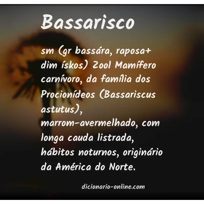 Significado de bassarisco