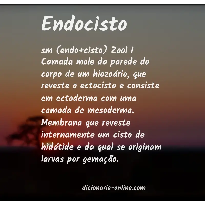 Significado de endocisto