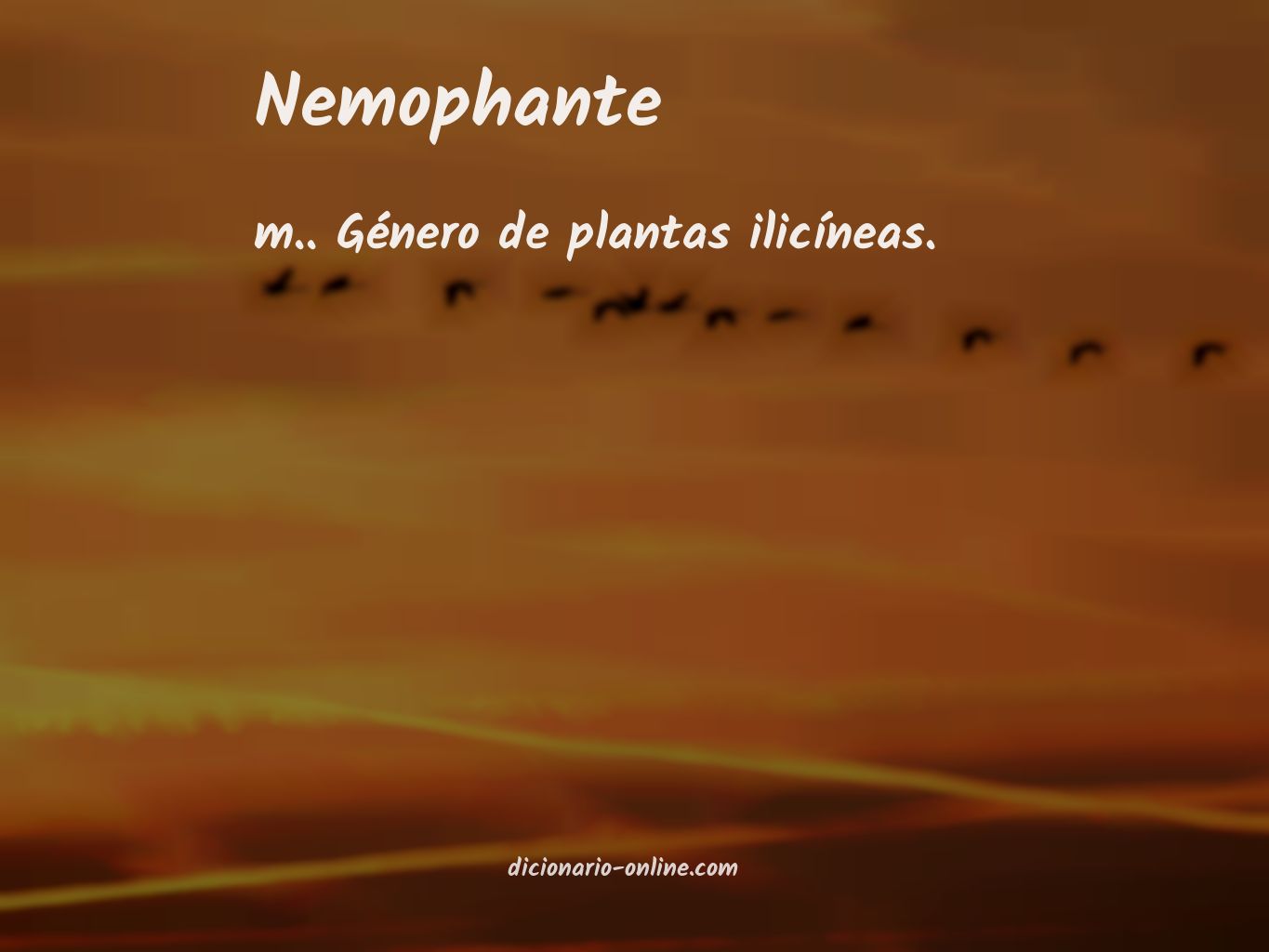 Significado de nemophante