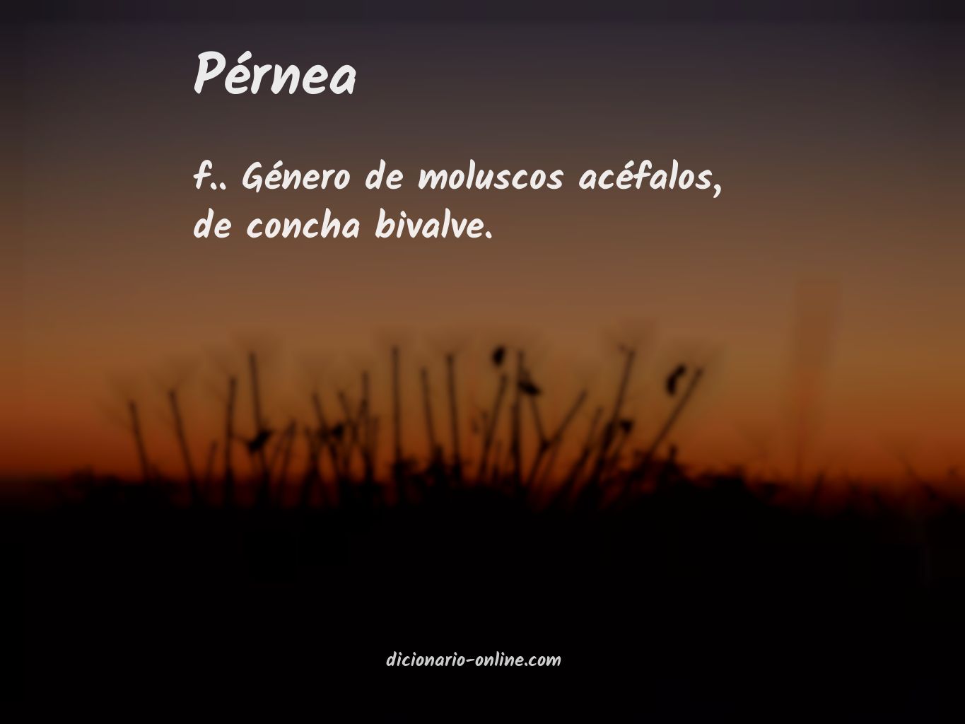 Significado de pérnea