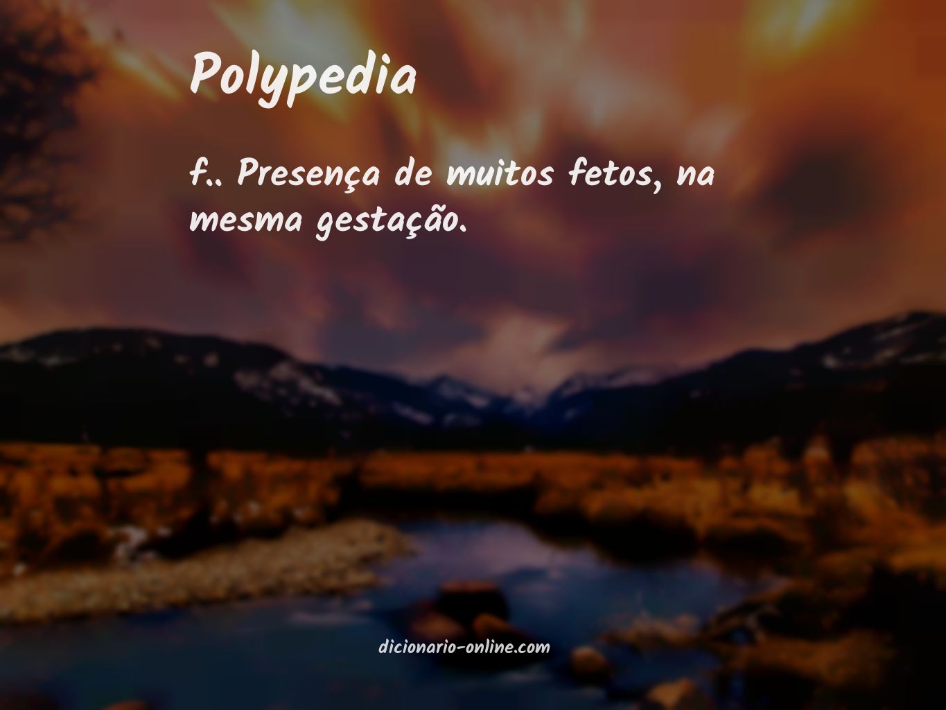 Significado de polypedia