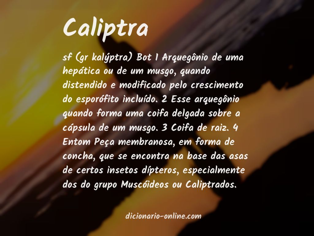 Significado de caliptra