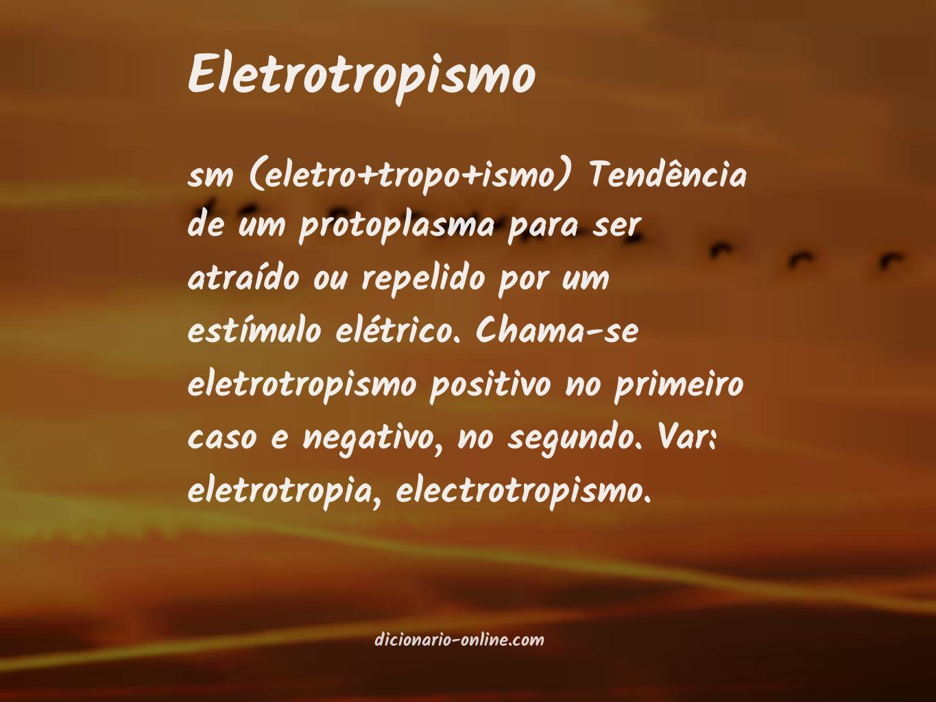 Significado de eletrotropismo