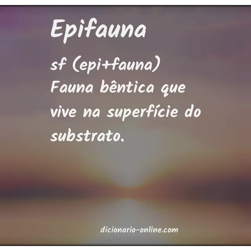 Significado de epifauna