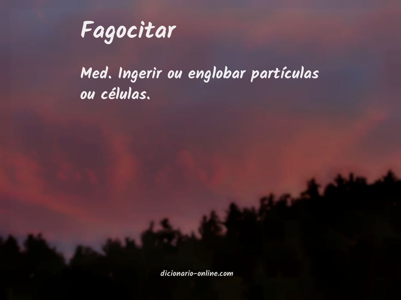 Significado de fagocitar