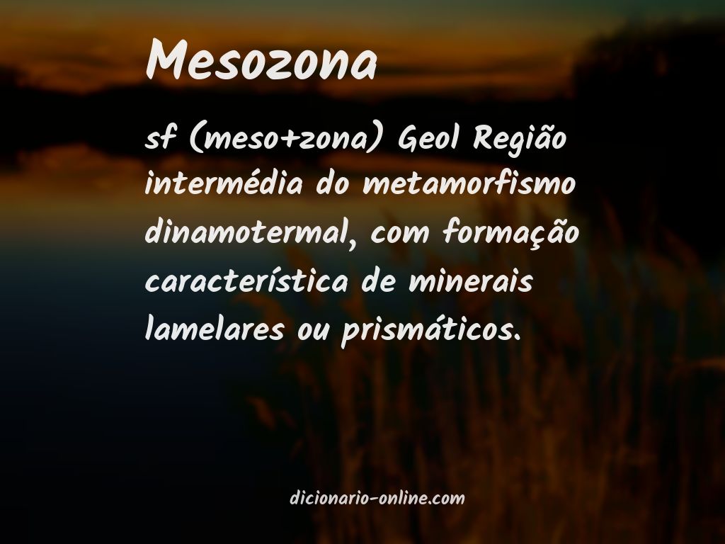 Significado de mesozona