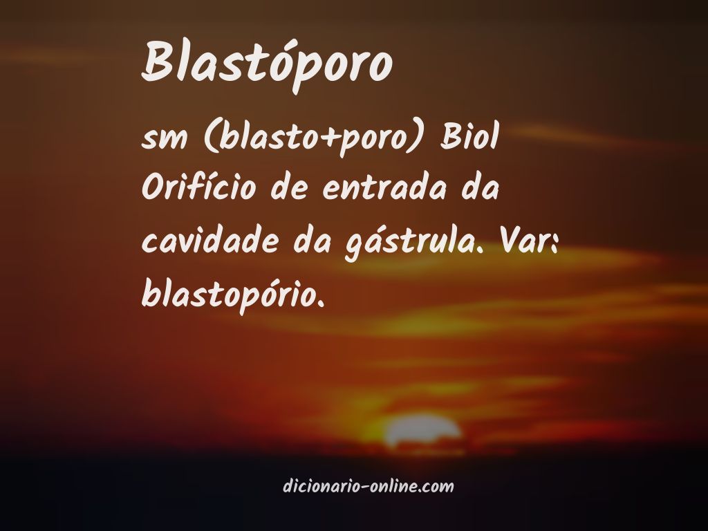 Significado de blastóporo