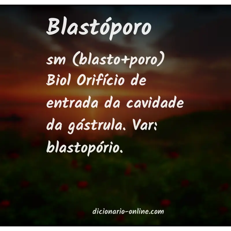 Significado de blastóporo