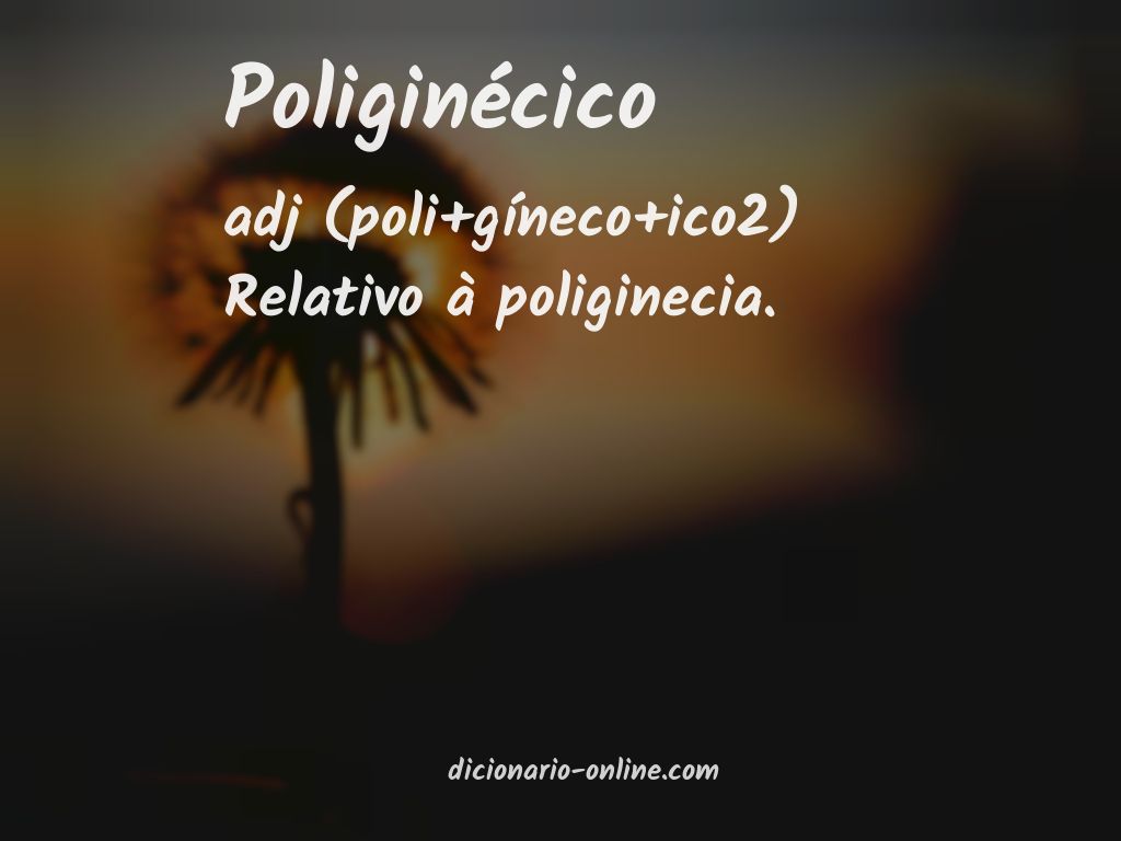 Significado de poliginécico