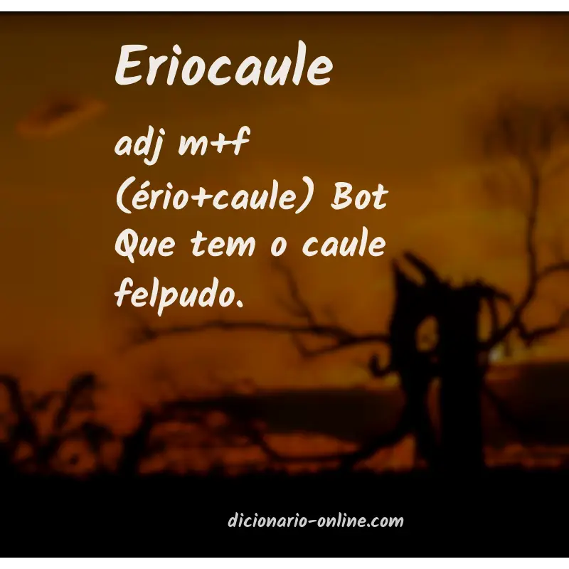 Significado de eriocaule