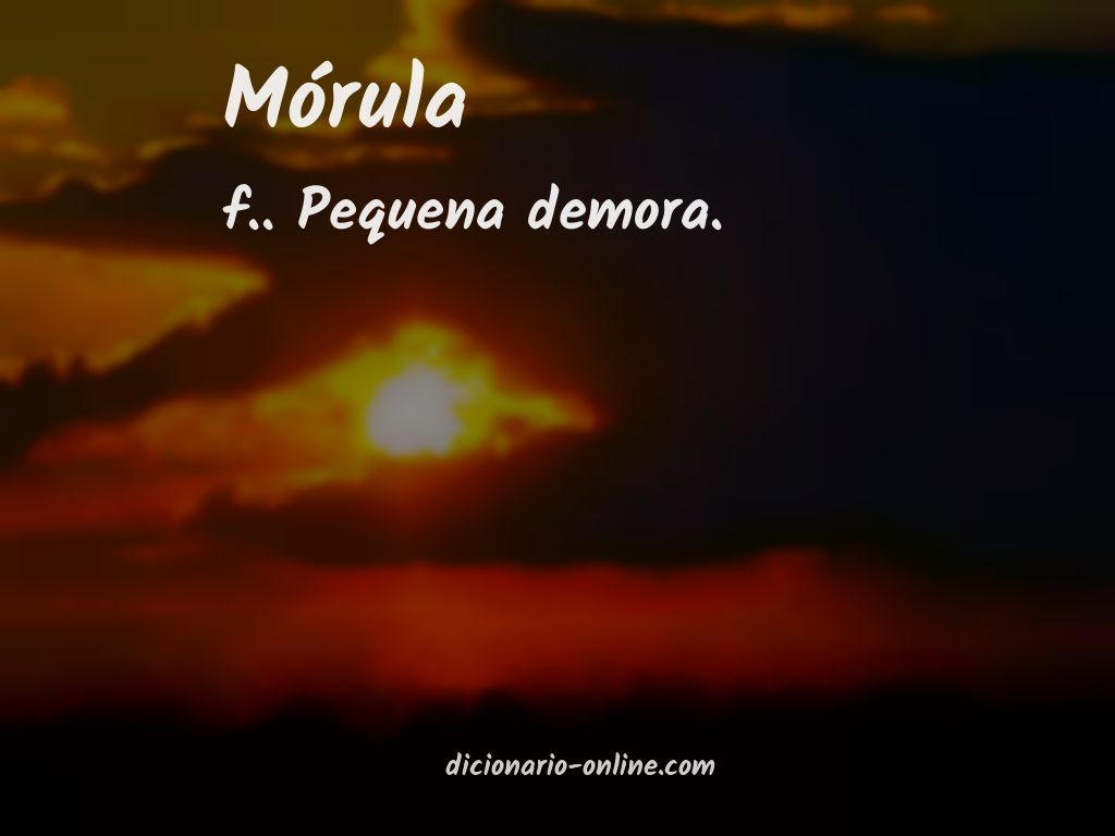 Significado de morula