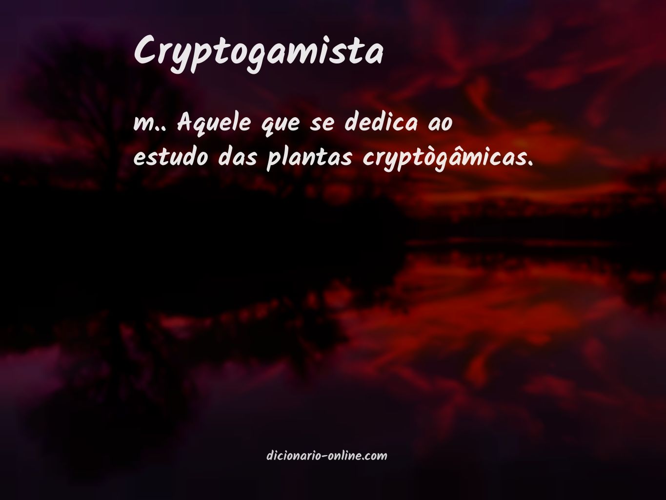 Significado de cryptogamista