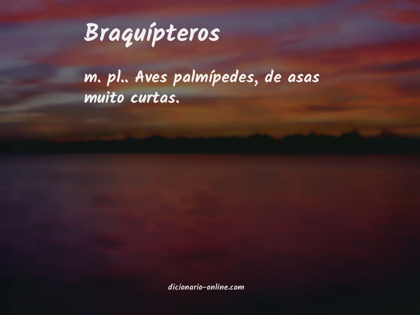 Significado de braquípteros