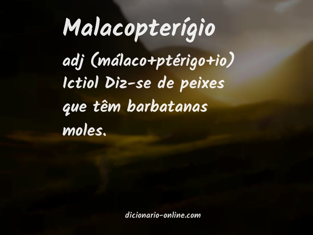 Significado de malacopterígio