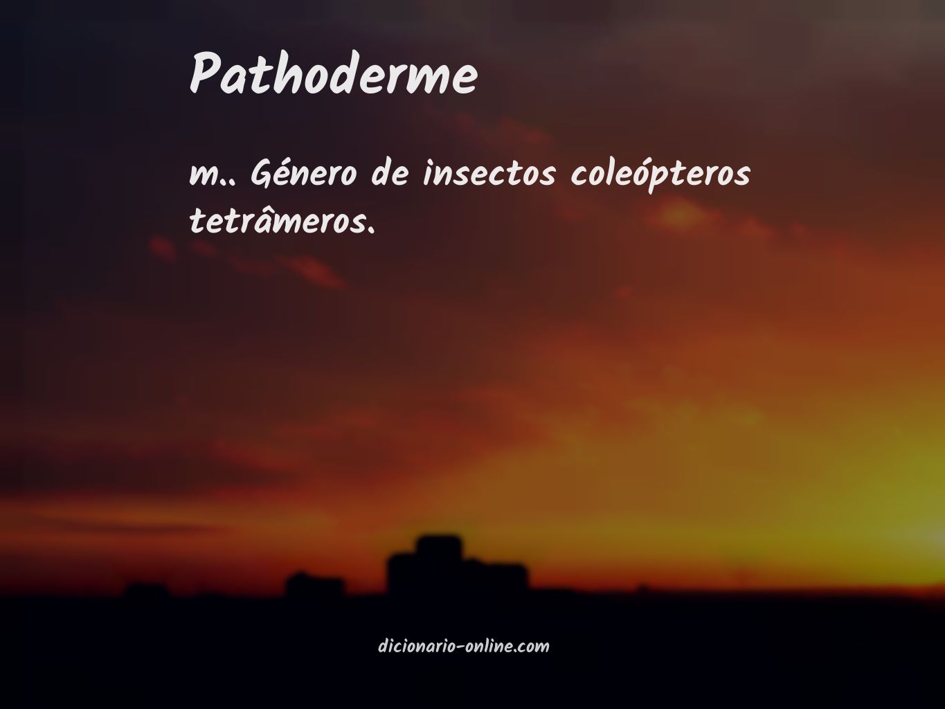 Significado de pathoderme