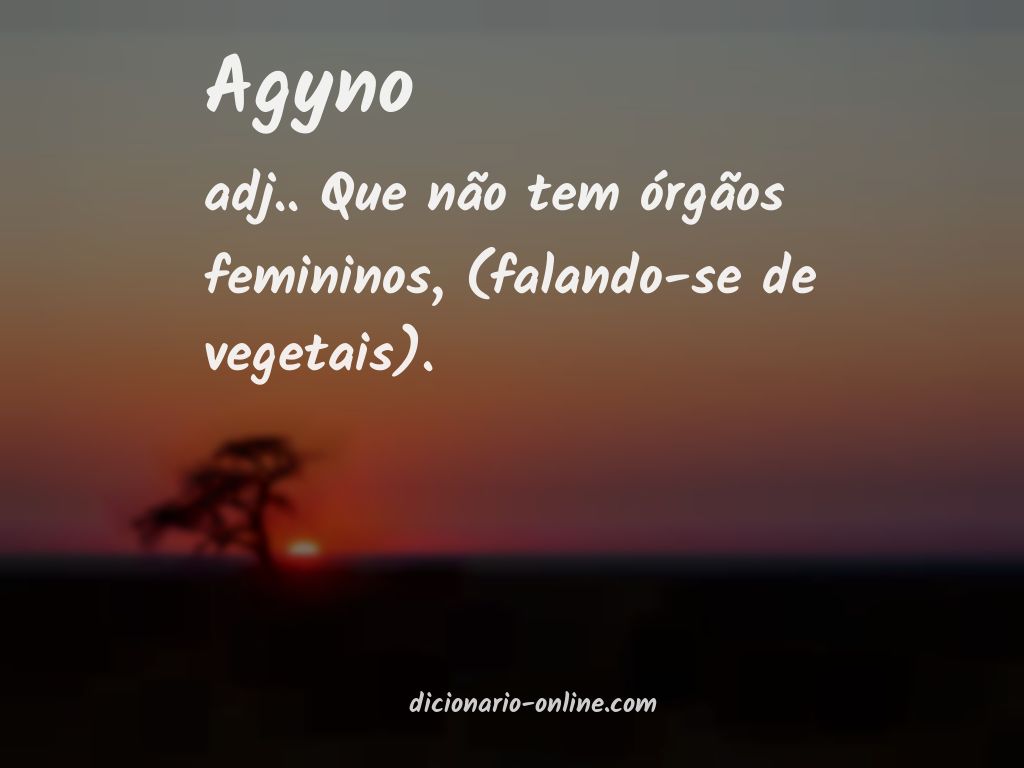 Significado de agyno