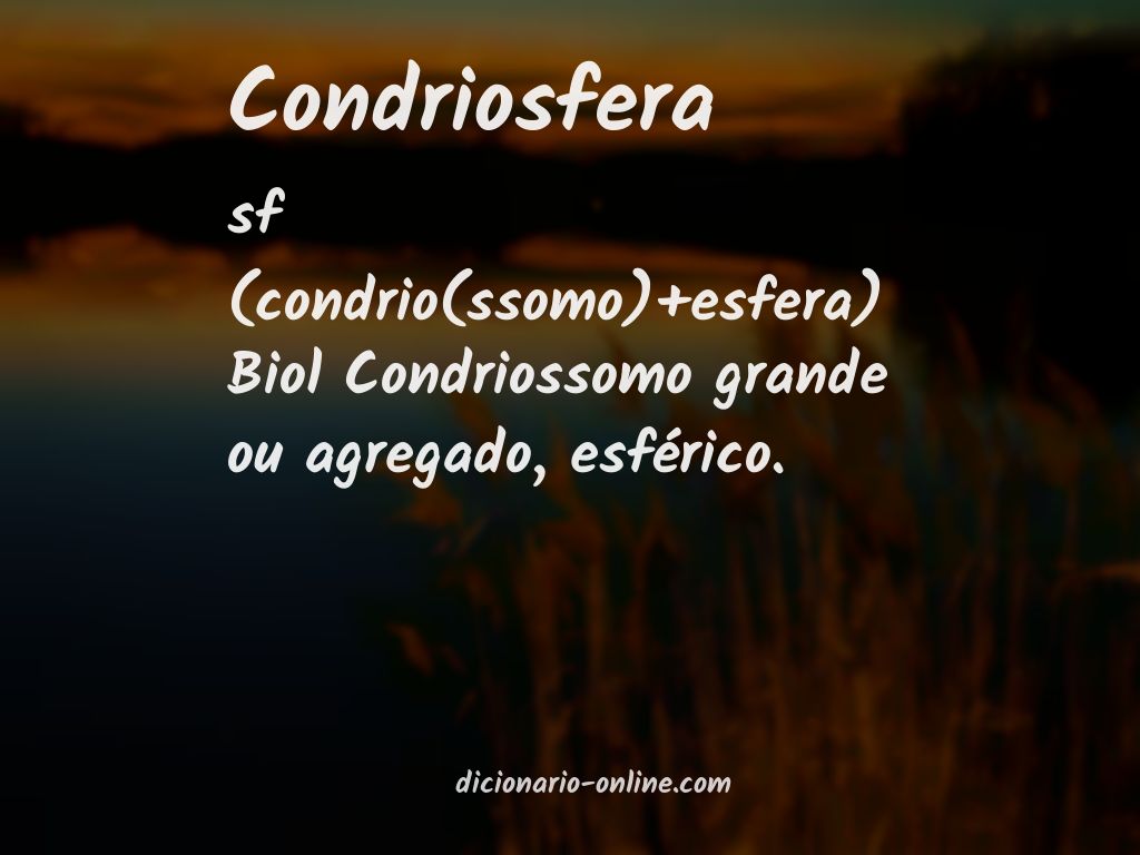 Significado de condriosfera