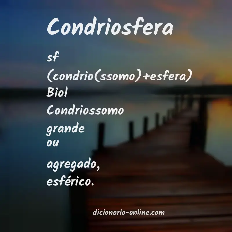 Significado de condriosfera