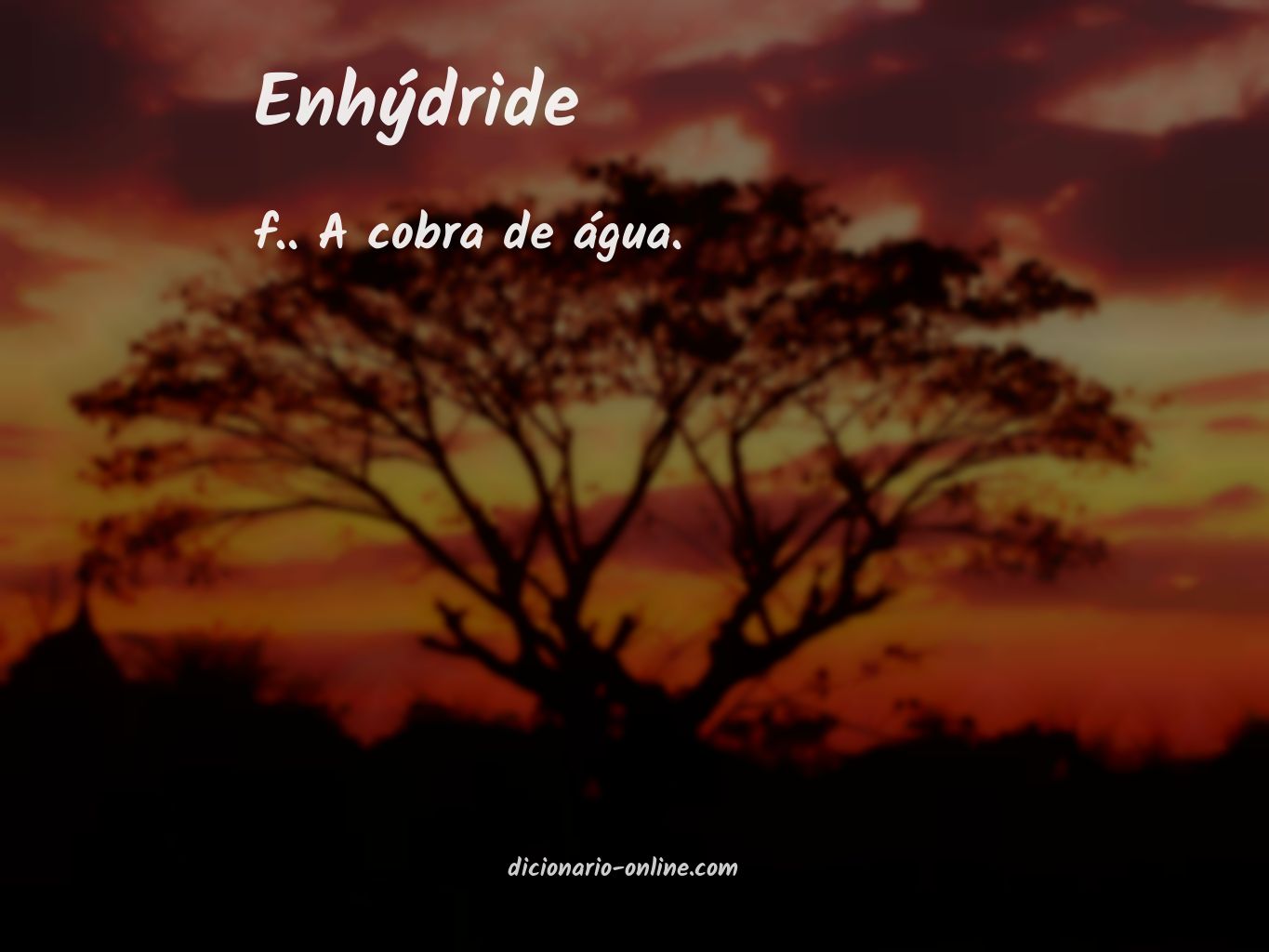 Significado de enhýdride