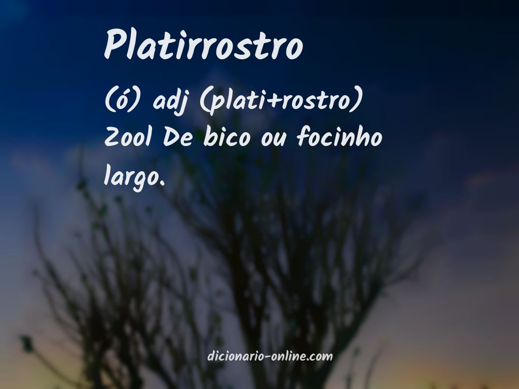 Significado de platirrostro