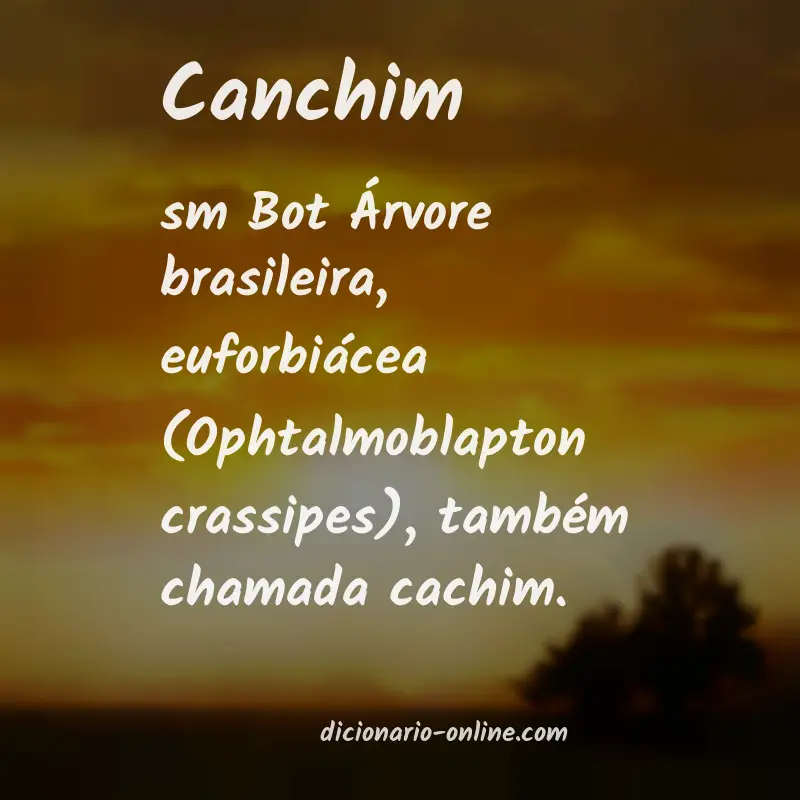 Significado de canchim