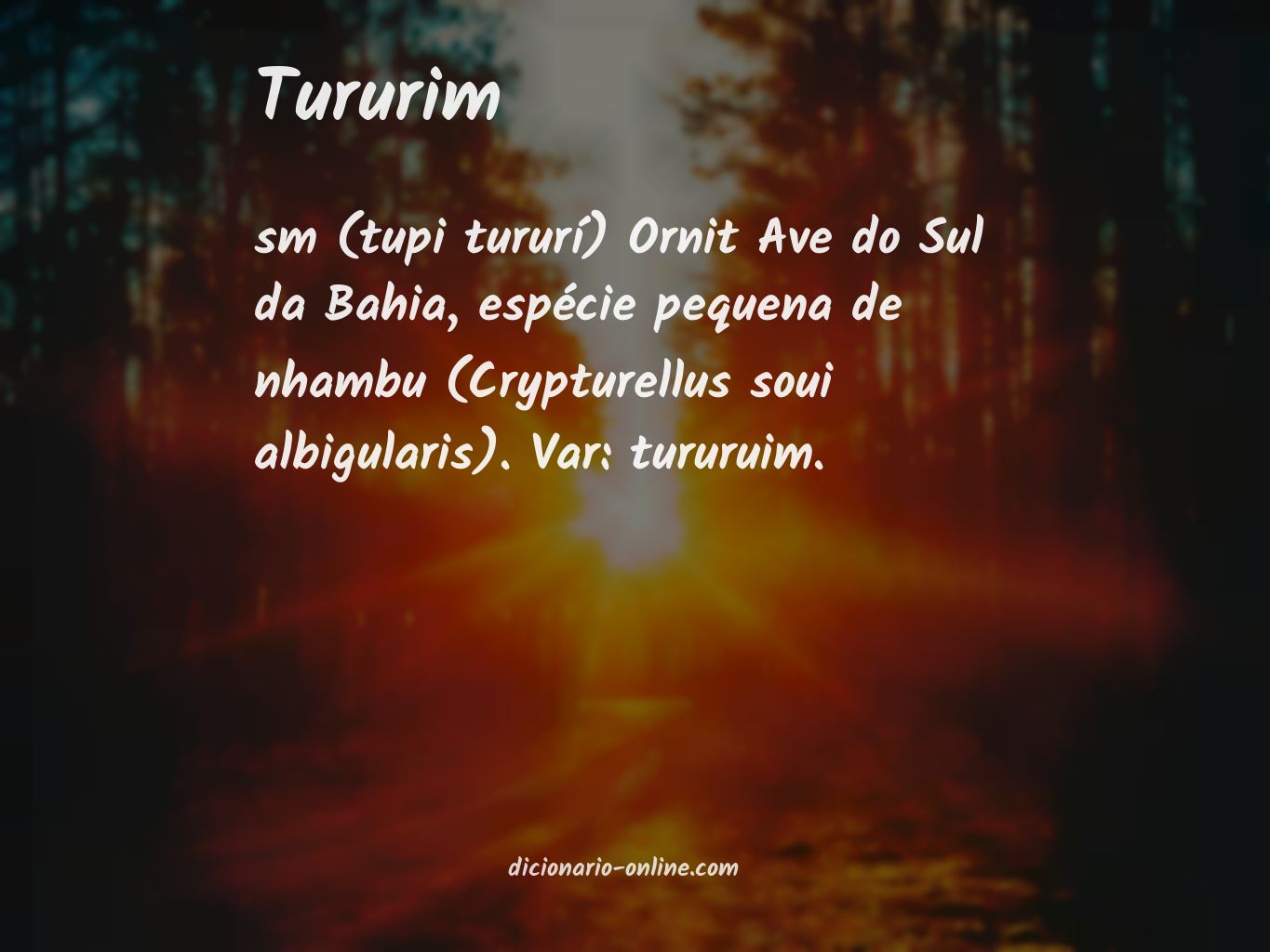 Significado de tururim