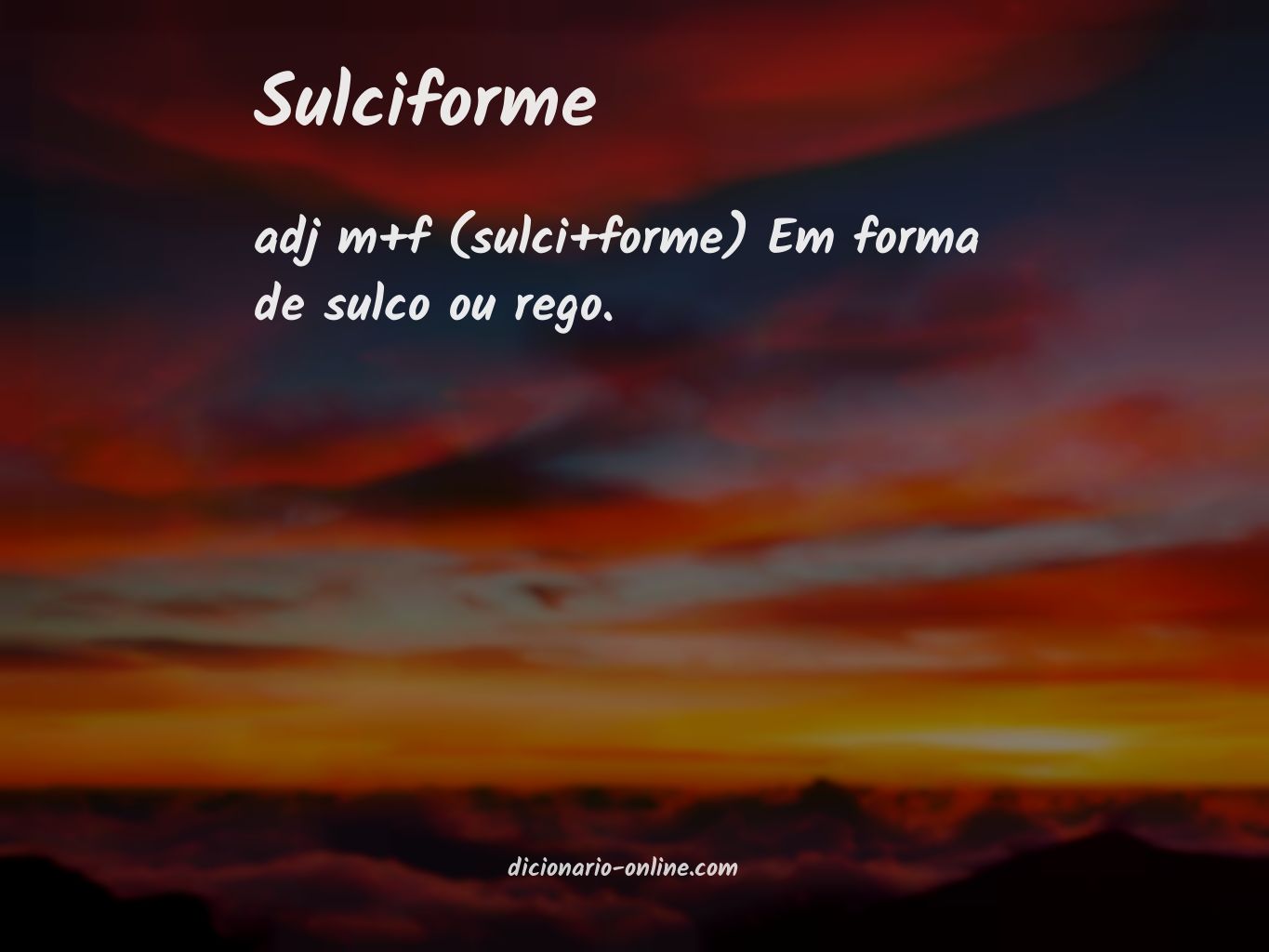 Significado de sulciforme