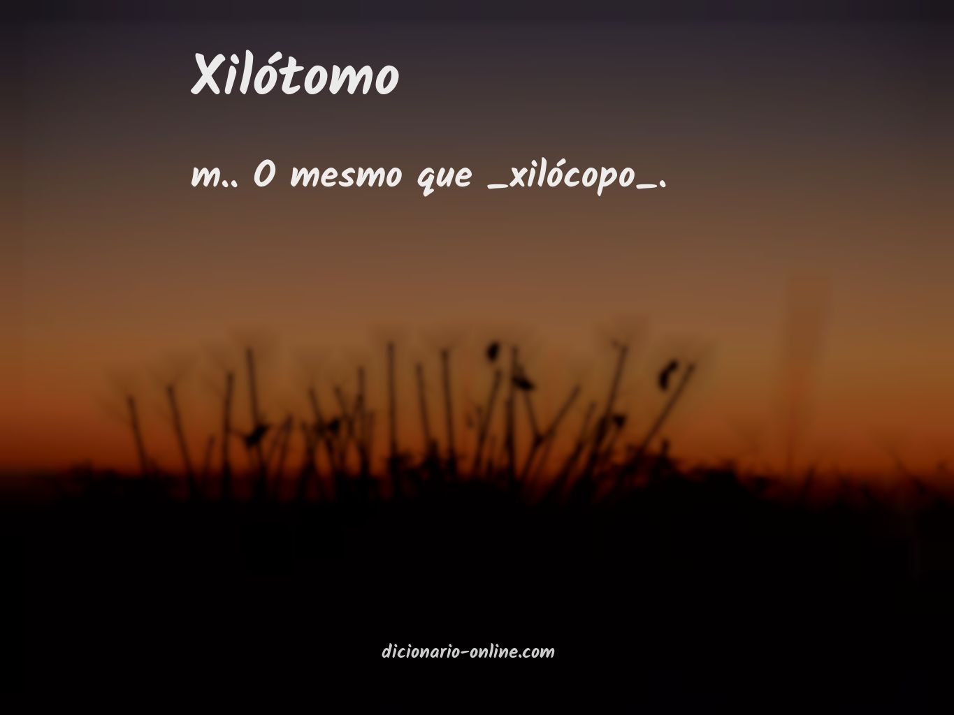 Significado de xilótomo