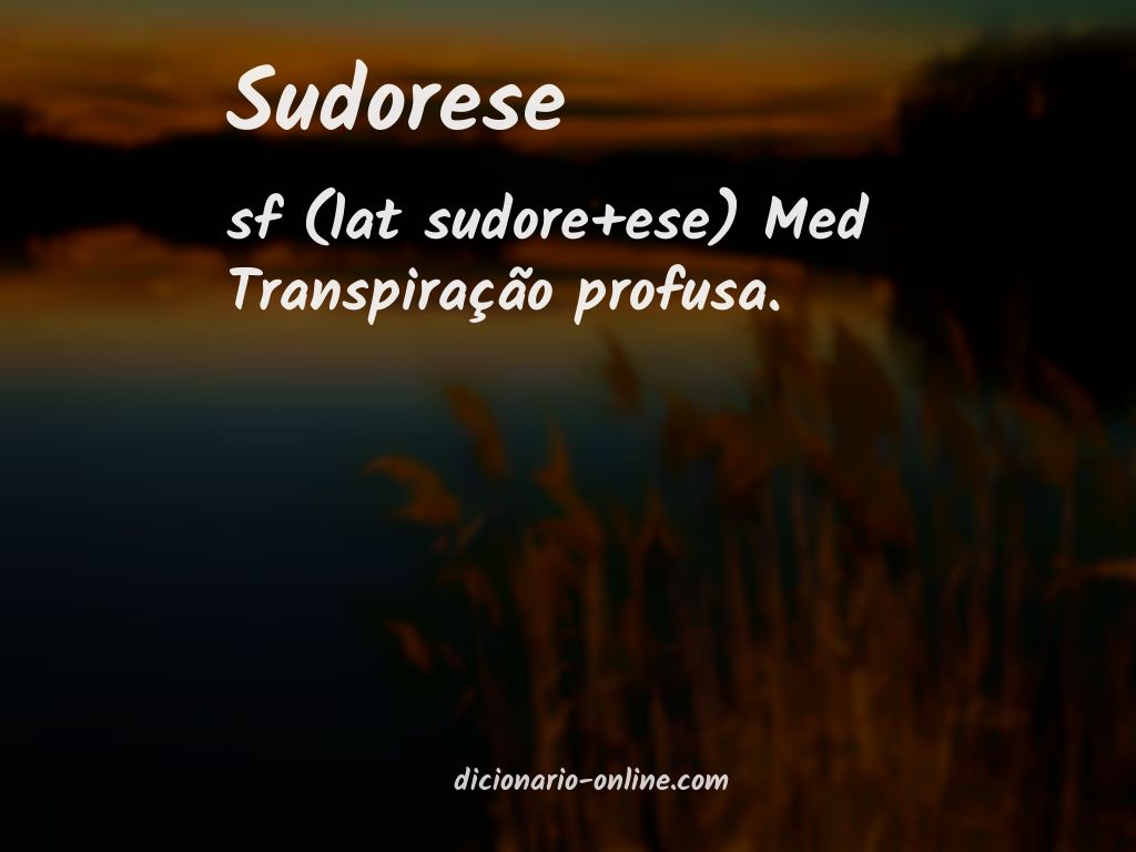 Significado de sudorese