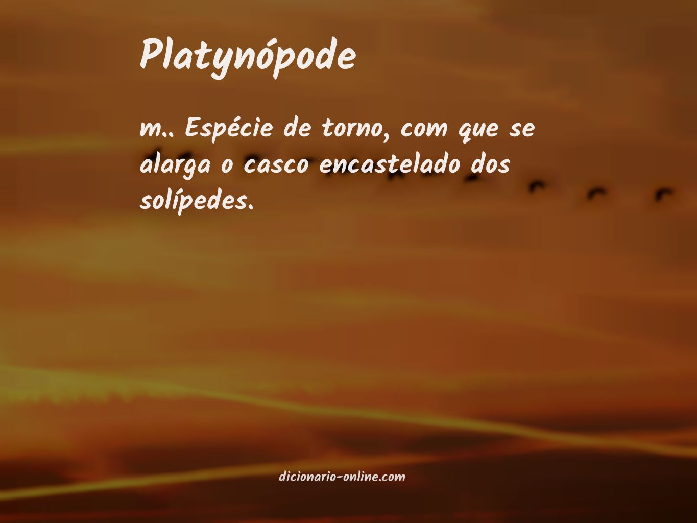 Significado de platynópode