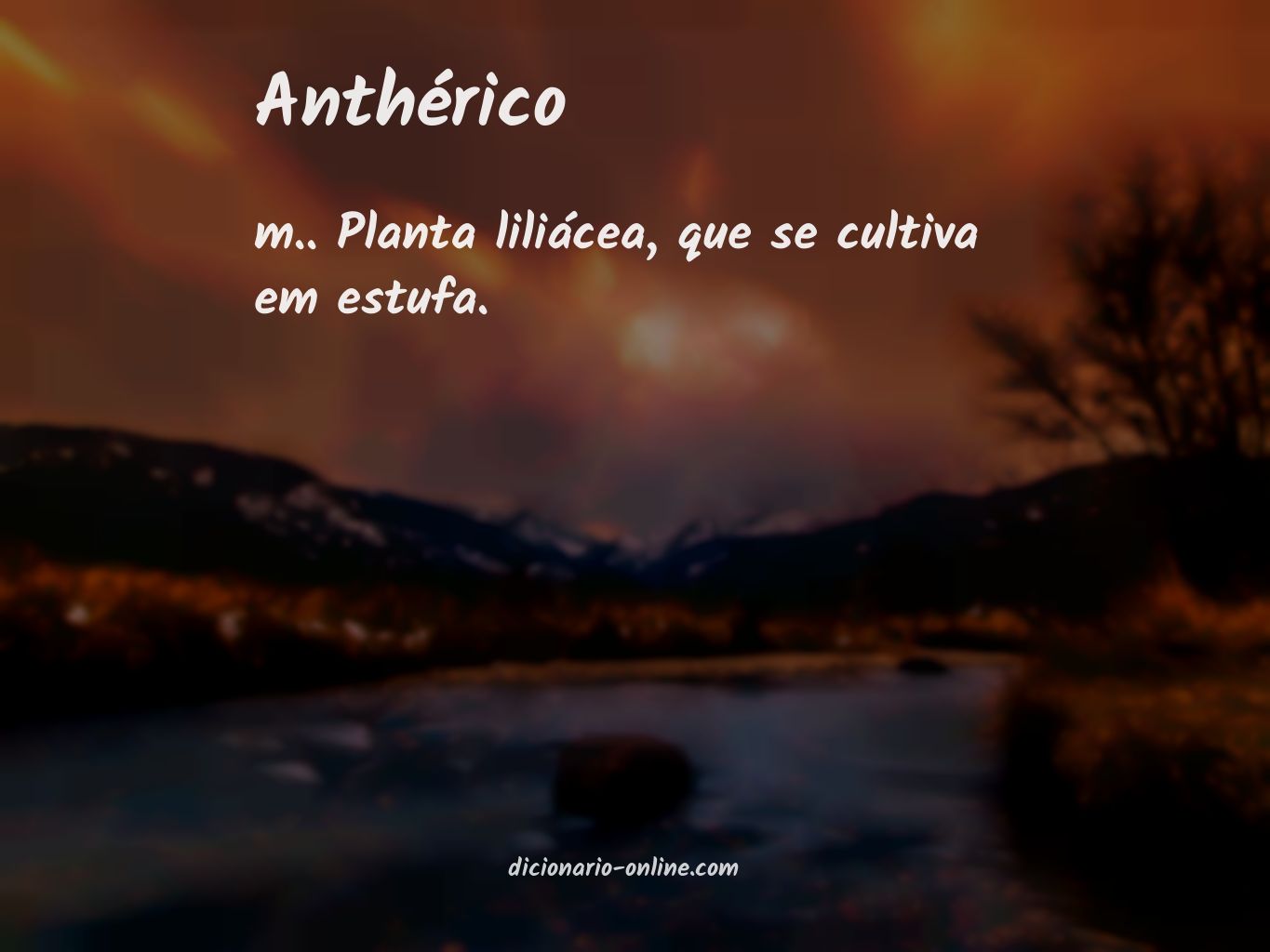 Significado de anthérico