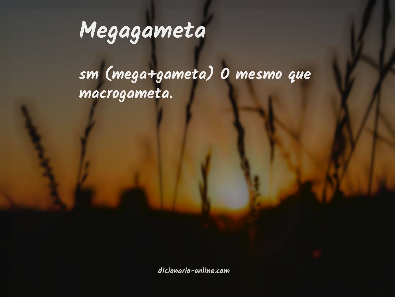 Significado de megagameta