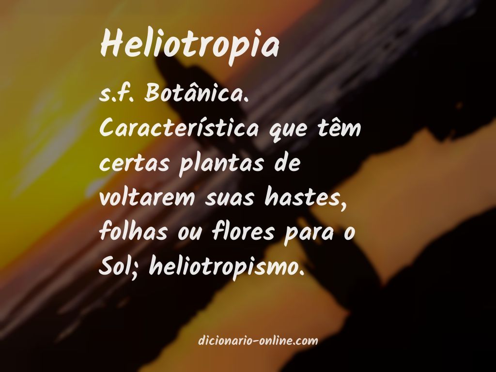 Significado de heliotropia