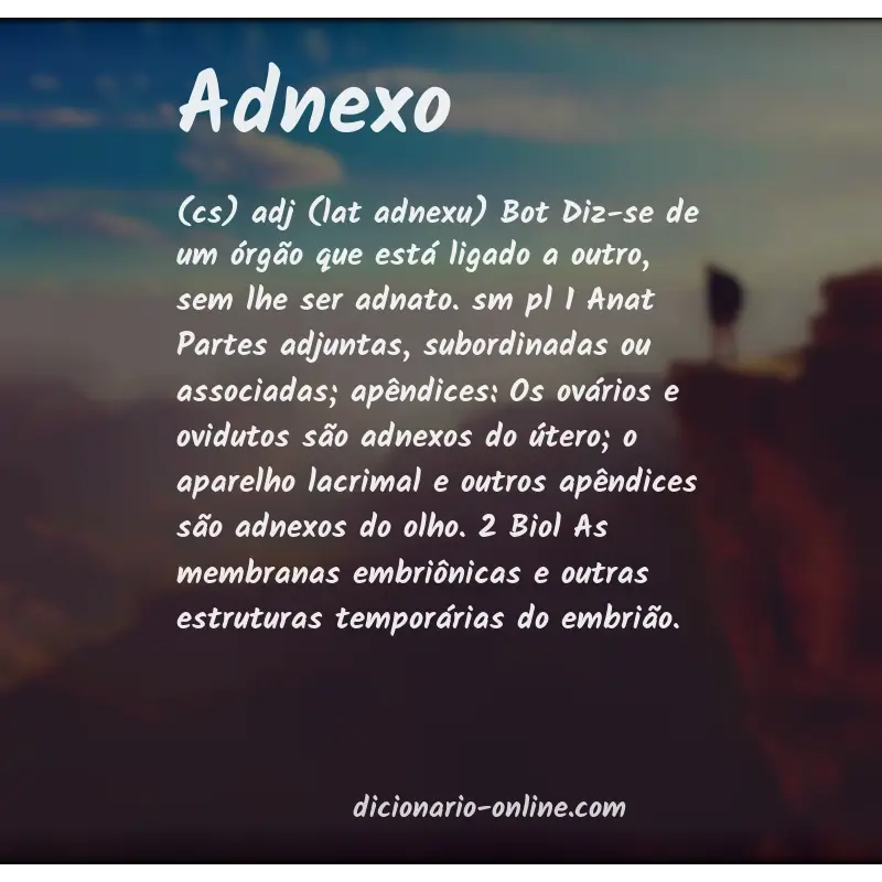 Significado de adnexo